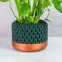 Forest Ananas Planter, thumbnail 1 of 4