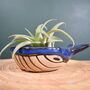 Ceramic Whale With Air Plant Air Plant Holder Gardner Gift Plant Gift Cute Desk Accessory, thumbnail 1 of 6