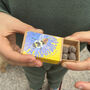 Wildflower Seeds For British Bees Collection Of Six Mixes, thumbnail 6 of 12