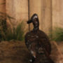 Duckling Handmade Recycled Metal Garden Sculpture, thumbnail 4 of 4