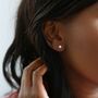 Swarovski Crystal Stud Earrings, thumbnail 6 of 10