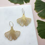 Gingko Leaf Plant Hoop Earrings Gold And Silver Plated, thumbnail 3 of 6