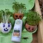 Cress Seeds In A Seedtube, thumbnail 3 of 6