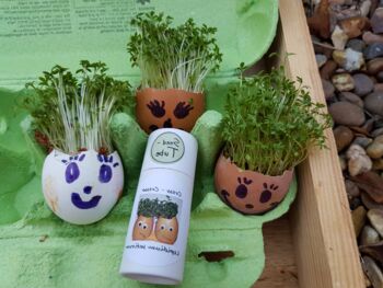 Cress Seeds In A Seedtube, 3 of 6