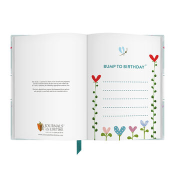 Bump To Birthday, A Pregnancy And First Year Journal, 9 of 12
