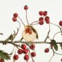 Christmas Ceramic Plant Hugger Decorations, thumbnail 5 of 12
