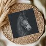 Stunning Horse Hand Drawn Greeting Card, thumbnail 1 of 7