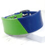 Multi Coloured Leather Whippet Collar, thumbnail 1 of 5