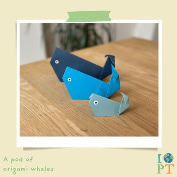 Children's Eco Activity Box: Brilliant Blue Whales, 6 of 12