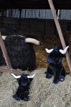 Personalised Black Longhorn 18cm Cow Soft Toy Brown, 2 of 11