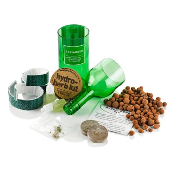 Coriander Hydro Herb Kit, 2 of 3