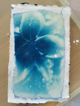 Cyanotype Print Making Workshop Experience In Manchester, 10 of 11