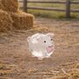 Hand Blown Glass Pig | Gift Boxed | Decoration | Collectable | Gift For Home, thumbnail 1 of 4