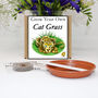 Gardening Gift. Grow Your Own Cat Grass Seeds Kit, thumbnail 1 of 6