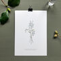 ‘Forget Me Not’ Spring Flower Botanical Art Print, thumbnail 1 of 3