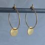 Brushed Gold Plated Sterling Silver Disc Hoops, thumbnail 5 of 7