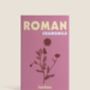 Roman 'Chamomile' Seeds, thumbnail 1 of 3