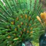 Light Up Metal Garden Peacock, thumbnail 8 of 9