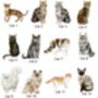 Personalised Best Cat Dad Father's Day Card, thumbnail 2 of 2