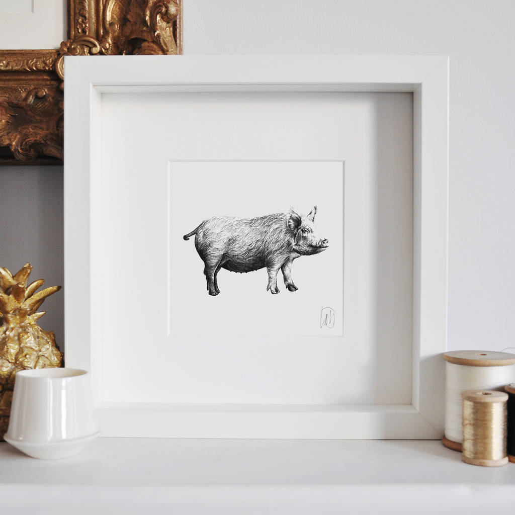 framed pig print by lale guralp