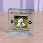 'You Were My Favourite…' Pet Memory Photo Glass Token, thumbnail 1 of 2