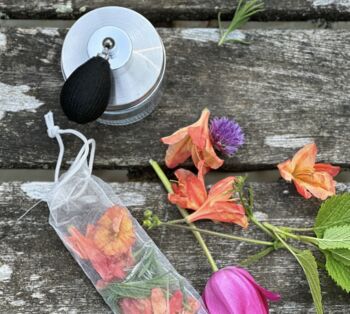 Huckleberry Make Your Own Perfume, 2 of 4