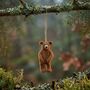 Handmade Needle Felt Grizzly Bear Hanging Decoration, thumbnail 11 of 11
