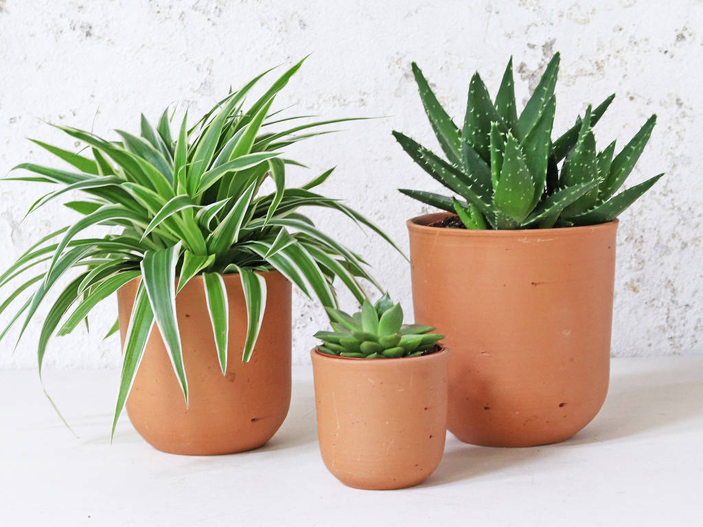 Curved Terracotta  Plant  Pot  By Scaramanga 