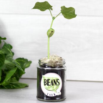 Beans Talk Message Seeds Jar Gift Set, 6 of 8