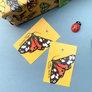 Moth Species Wrapping Paper Set, 2 of 11