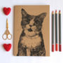 A5 Cat Lovers Notebook Blank Journal With Plain Pages, thumbnail 1 of 6
