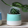 Personalised 'Baby' Hand Thrown Indoor Plant Pot, thumbnail 2 of 5