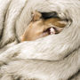 Faux Fur Blanket In Oatmeal, thumbnail 2 of 5