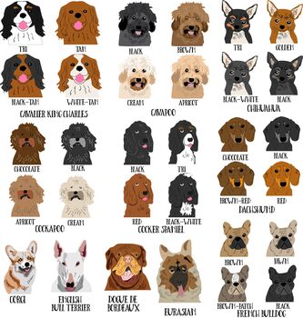 Personalised Dog Tea Towel, Many Breeds Available, 5 of 11