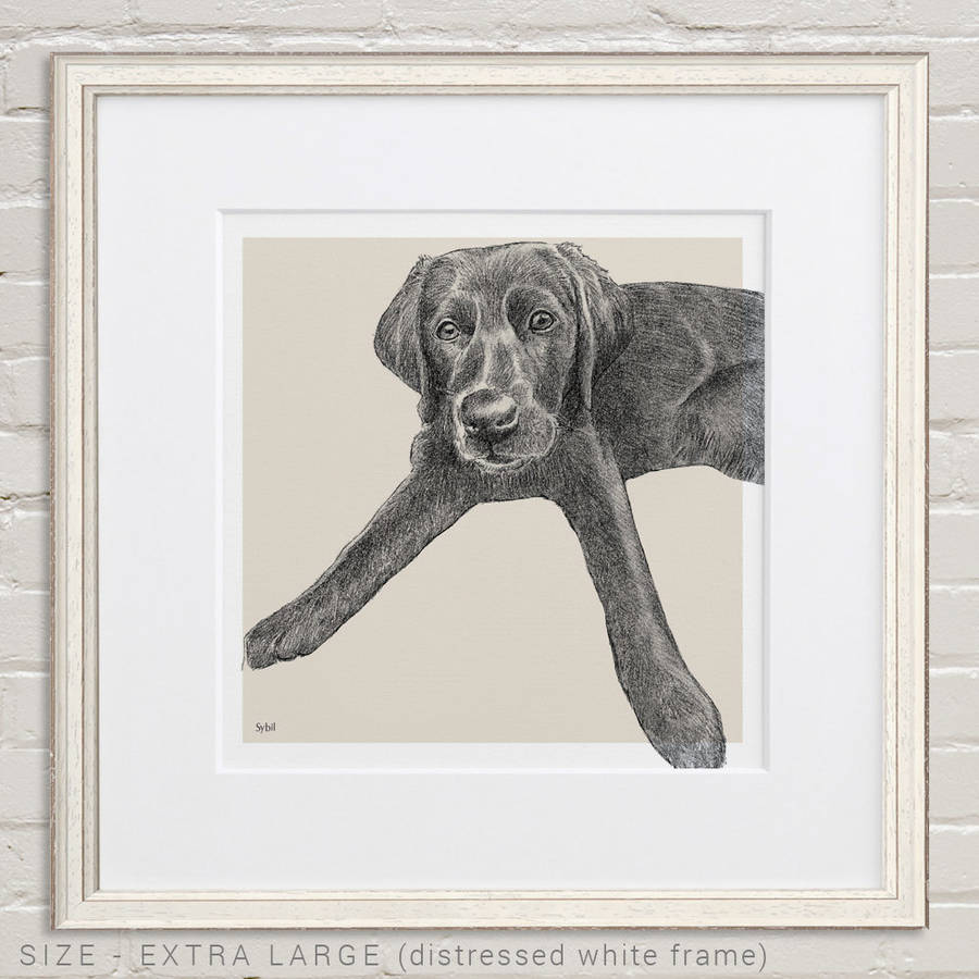 personalised pet portrait sketch by letterfest | notonthehighstreet.com