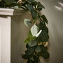 Botanical Beauty Deluxe Eucalyptus Garland, thumbnail 4 of 6