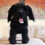 Personalised Crocheted Cuddly Toy Of Your Dog, thumbnail 9 of 12