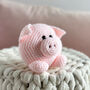Piggy Crochet Kit, thumbnail 2 of 5