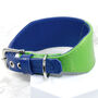 Multi Coloured Leather Whippet Collar, thumbnail 5 of 5