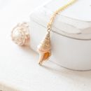 natural shell pendant necklace by juju treasures | notonthehighstreet.com