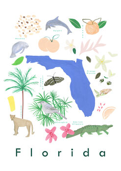 Florida State Symbols Art Print, 2 of 3