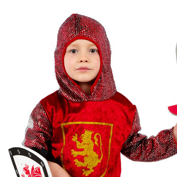 Children's Crusader Knight Dress Up Costume, 2 of 5