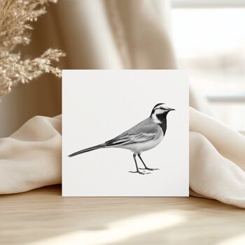 Wagtail Bird – Hand Drawn Nature Greeting Card Illustration, 3 of 6
