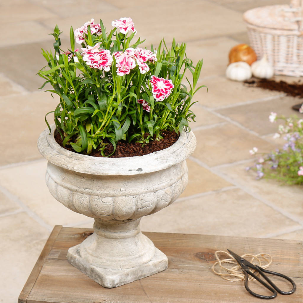 classical urn footed plant pot by dibor