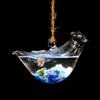 Hanging Glass Heart Vase Marimo Moss Ball, 3 of 4
