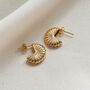 Marina Gold Ribbed Earrings, thumbnail 1 of 2