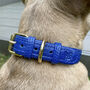 Handmade Italian Leather Padded Blue Dog Puppy Collar, thumbnail 4 of 6