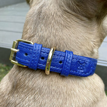 Handmade Italian Leather Padded Blue Dog Puppy Collar, 4 of 6