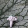 Hand Painted Snowdrop Lapel Pin, thumbnail 2 of 4