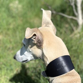 Dark Blue Leather Whippet Collar Can Be Personalised, 6 of 8